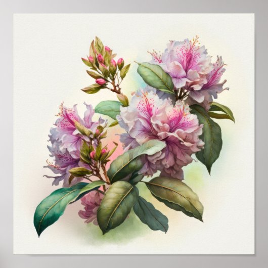 Poster d'art rose Rhododendron (Devant)