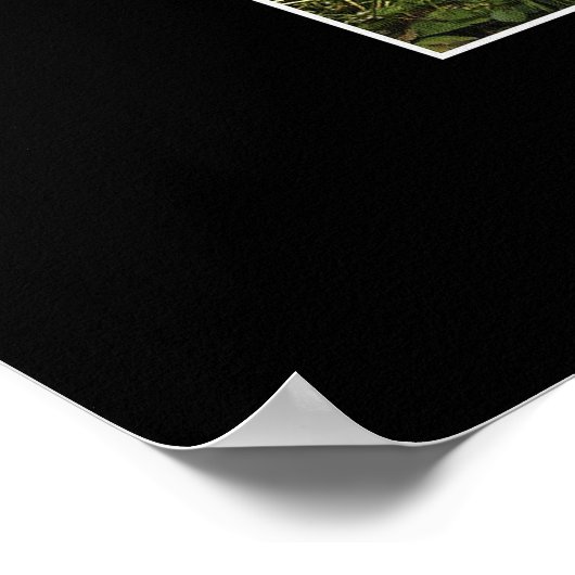 Poster d'art SANCTUAIRE (Coin)