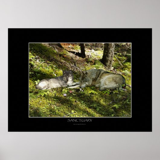 Poster d'art SANCTUAIRE (Devant)