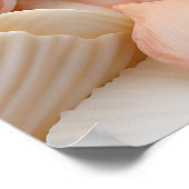 Poster d'art Seashells Seaside (Coin)