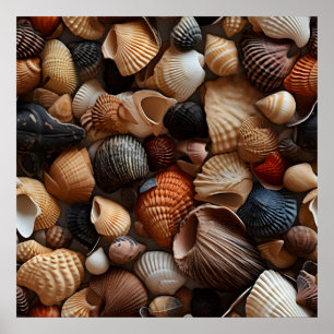 Poster d'art Seashells Seaside