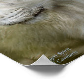 Poster d'art Serengeti Spirit/Imprimer (Coin)