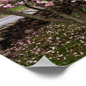 Poster d'art Stone Magnolias (Coin)