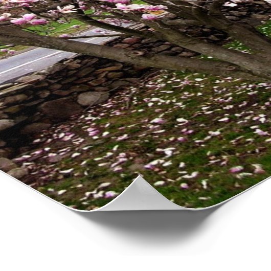Poster d'art Stone Magnolias (Coin)