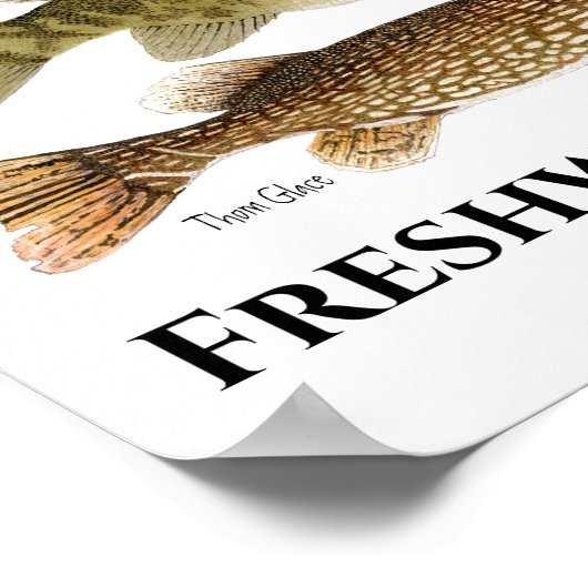 Poster d'art sur le poisson d'eau douce (Coin)