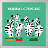 Poster d'art sur les espèces Zebra (Devant)