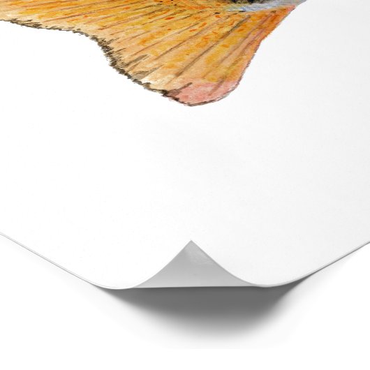 Poster d'art Tenkara (Coin)