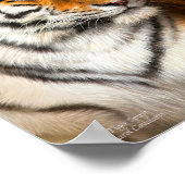 Poster d'art Tiger Spirit / Imprimer (Coin)