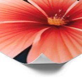 Poster d'art tropical Flamant rose Love (Coin)