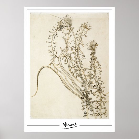 Poster d'art Vincent Van Gogh Zedign #356-3 (Devant)