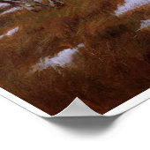 Poster d'art Vintage amérindien (Coin)