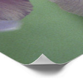 Poster d'art violet Iris (Coin)