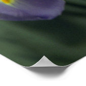 Poster d'art violet Iris (Coin)