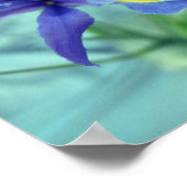 Poster d'art violet Iris (Coin)