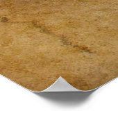 Poster d'art VITRUVIAN MAN Leonardo Da Vinci (Coin)