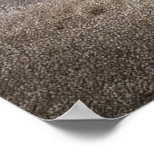 Poster d'art Wabi-Sabi (Coin)