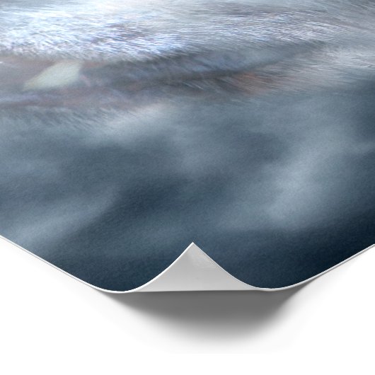 Poster d'art Wolf Argent (Coin)