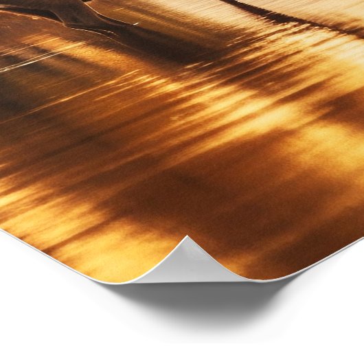 Poster d'art Yellowstone (Coin)