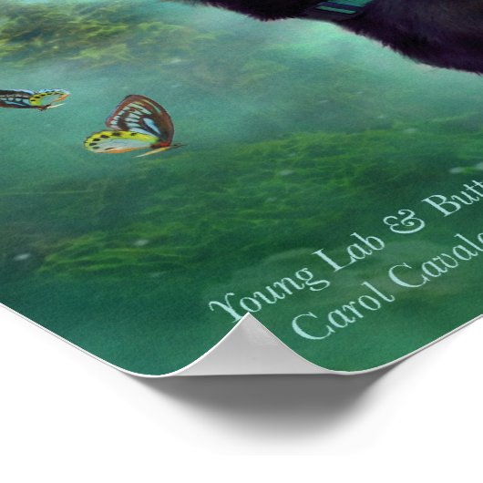 Poster d'art Young Lab & Buttys (Coin)