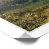 Poster Dartmoor : La source du Tamar et de la Torridge (Coin)