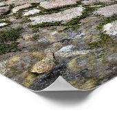 Poster Darwin Canyon Lower Lake - Sierra (Coin)