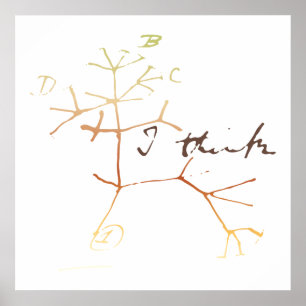 Poster Darwin, je pense l'arbre à la vie