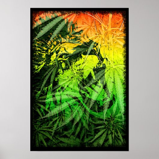 Poster das cores do reggae com leão e a naturreza (Devant)