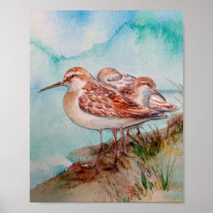 Poster Daté, Aquarelle Sandpiper Shore Beach Oiseaux Art