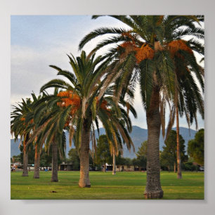 Poster Date-arbres délicieux