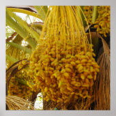 Poster Dates sur l'affiche des palmiers (Devant)