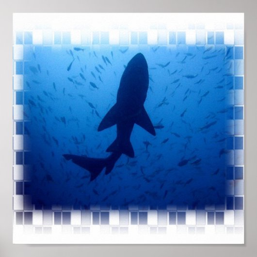 Poster d'attaque de requins (Devant)