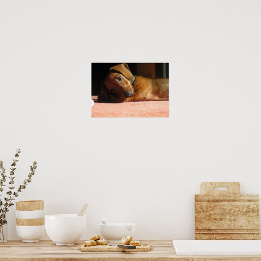 Poster Dauchshund (Cuisine)