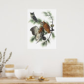 Poster d'Audubon Owls (Cuisine)