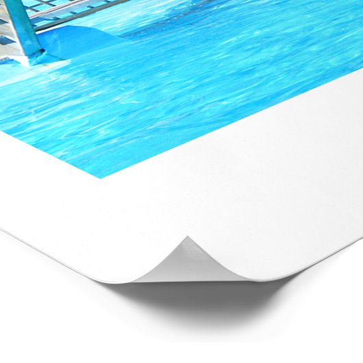 Poster Dauphin (Coin)