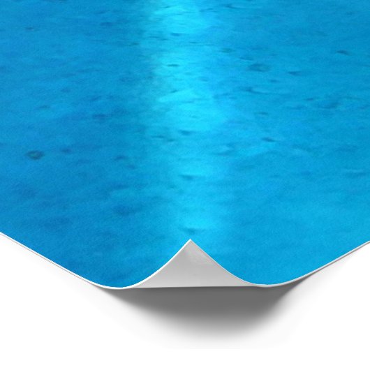 Poster Dauphin (Coin)