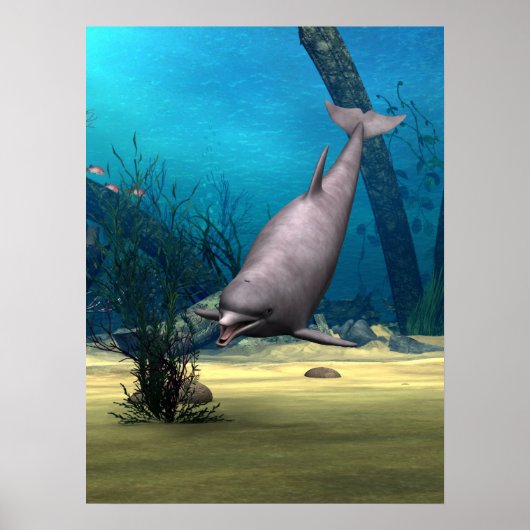 Poster Dauphin (Devant)