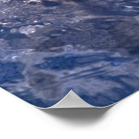 Poster Dauphin (Coin)