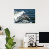 Poster Dauphin à bec (Bureau à domicile)
