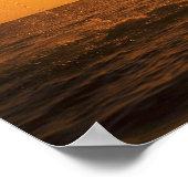 Poster Dauphin à col blanc 2 (Coin)