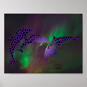 Poster Dauphin Aurores Boréales Paysages Cieux