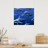 Poster Dauphin bleu (Cuisine)