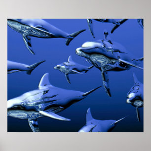 Poster Dauphin bleu