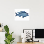 Poster Dauphin bleu Cichlid (Bureau à domicile)
