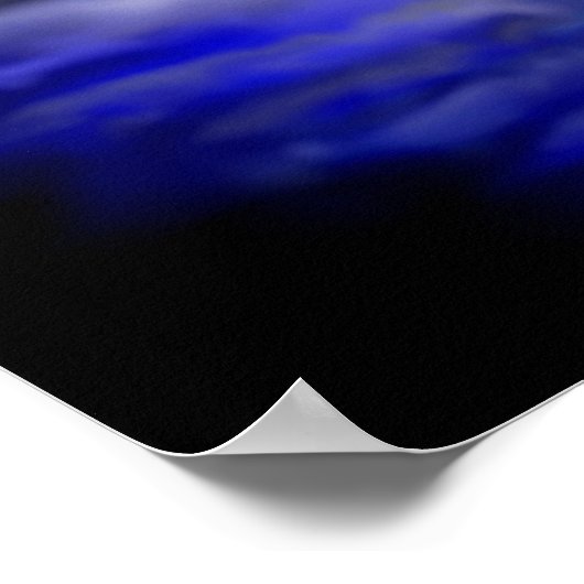 Poster Dauphin clair de lune (Coin)