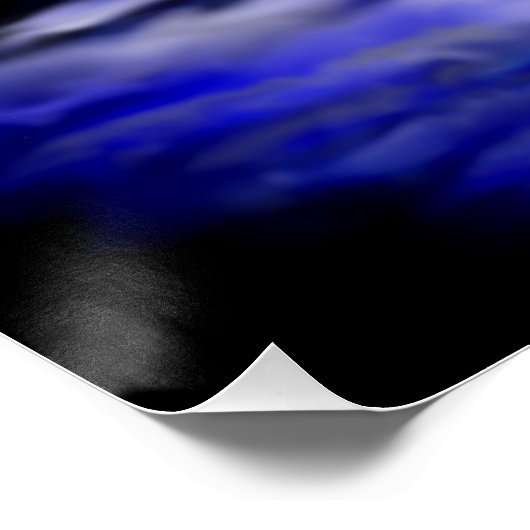 Poster Dauphin clair de lune (Coin)