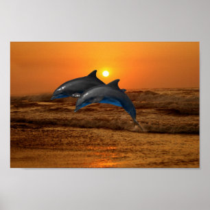 Poster Dauphin de Bottlenose au coucher du soleil