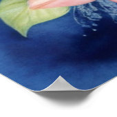 Poster Dauphin de mer (Coin)