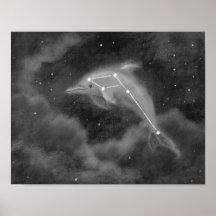 Poster dauphin Delphinus Constellation