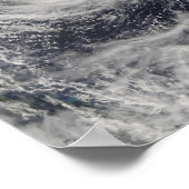 Poster Dauphin du typhon dans la mer des Philippines (Coin)