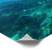 Poster Dauphin Duo (Coin)